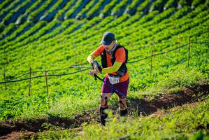 BIB: 
                            <button type="button" onclick="openModal(19160402)" class="btn btn-primary btn-sm float-right btn-popup" data-toggle="modal" data-target=".modal-high-quality">
                        <i class="fas fa-shopping-cart"></i> Add to Cart
                    </button>
                                            <button type="button" onclick="isThisMe(19160402, true)" class="btn btn-success btn-sm float-right btn-popup btn-isme hidden" data-toggle="tooltip" data-placement="bottom" title="นี่คือรูปของคุณใช่ไหม คลิกที่นี่เพื่อเอาเข้าอัลบั้ม">
                        <i class="fas fa-plus"></i> Add to album
                    </button>
                    <button type="button" onclick="isThisMe(19160402, false)" class="btn btn-warning btn-sm float-right btn-popup btn-isnotme hidden">
                        <i class="fas fa-ban"></i> Remove from album
                    </button>